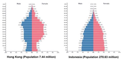 indonesia population male female